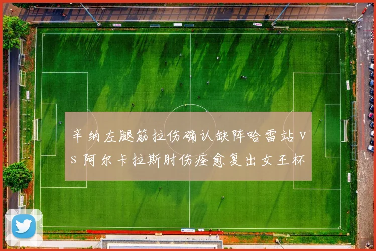 辛纳左腿筋拉伤确认缺阵哈雷站 vs 阿尔卡拉斯肘伤痊愈复出女王杯，草地备战步调不一
